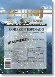 Zagraj to sam - nr 12/2004 (138)