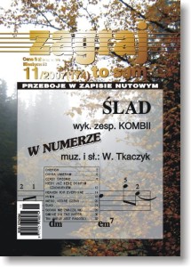 Zagraj to sam - nr 11/2007 (174)