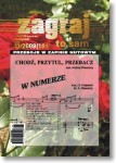 Zagraj to sam - nr 06/2009 (194)